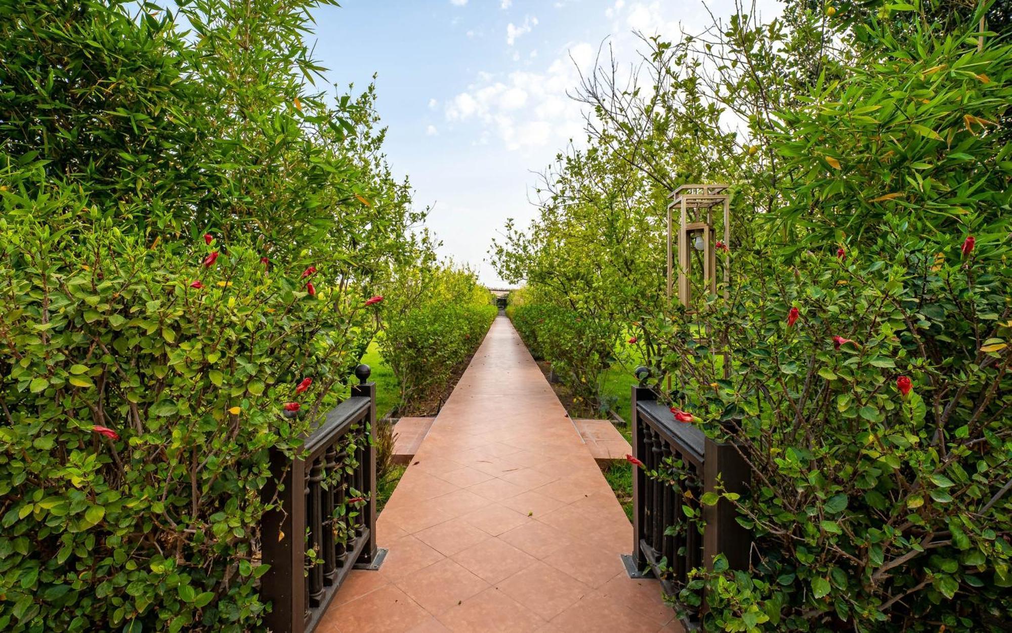 The Lemonary Marrakech Hotel Ouled Moumen Exterior foto