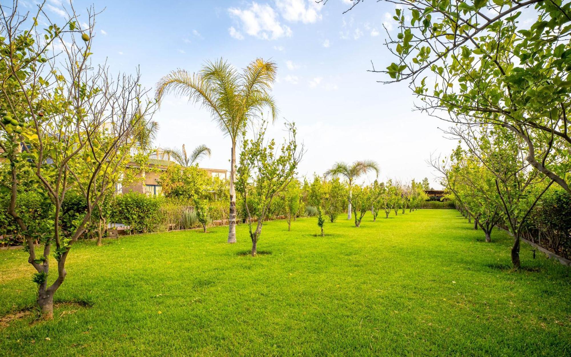 The Lemonary Marrakech Hotel Ouled Moumen Exterior foto